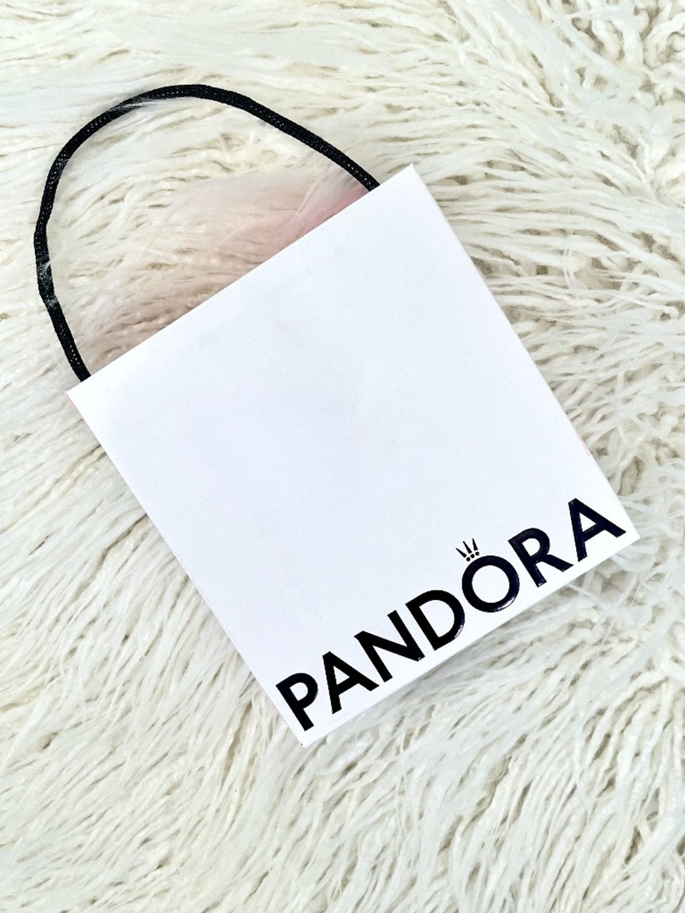 Pandora "Small Pandora Gift Bag" NWT